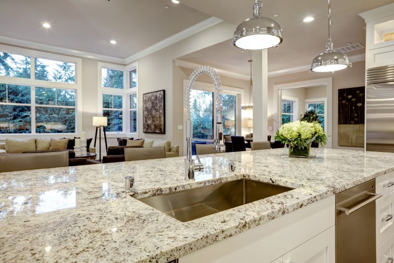 Elegant Kitchen Counter